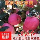 正宗山东沂源红富士中庄苹果当季新鲜水果甜脆糖心烟台整箱批发 中大果【75-80】 净重10斤