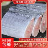 冷链正宗国产油带鱼中段冷冻小眼无冰新鲜海鲜野生东海刀鱼净重 1500g【去头去尾】