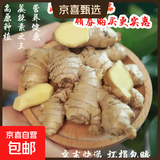产地直发贵州镇宁新鲜现挖小黄姜生姜黄姜调味料新鲜蔬菜生鲜 半斤体验装 250g