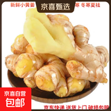 云南小黄姜新鲜生姜子生鲜姜月子姜超市蔬菜调料姜 一块体验装100g以上