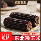 【东东农场专供】新鲜甜糯玉米黄白黑糯玉米真空玉米软糯代餐早餐 黑糯玉米180g-220g 4根装