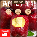 2025年现摘现发甘肃天水花牛苹果新鲜红蛇果粉面生鲜脆甜多汁A14 带箱4斤  果径75mm以上