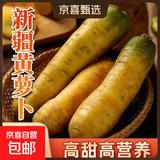 【真便宜】新疆冰糖心金黄胡萝卜水果萝卜新鲜蔬菜手抓饭直播间 黄胡萝卜 含箱5斤