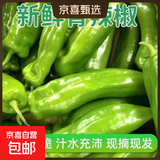 新鲜青尖椒超市生鲜蔬菜下饭菜虎皮尖椒鸡蛋伴侣 优选 2.5斤 含箱