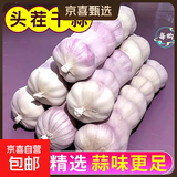 大蒜精装出口蒜出蔬菜水果调料牛肉生蚝小龙虾食材 出口标准网袋装箱 2斤 中果直径4cm