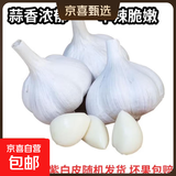 京喜自营大蒜头紫白皮大蒜京东买菜生鲜调料即食凉拌大蒜 5头 100g 单果3.5-5cm