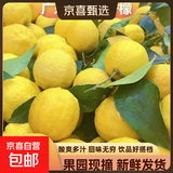 广东香水黄柠檬包邮新鲜水果柠檬精选皮薄奶茶店专用整箱 现货 柠檬净重3斤单果50g+
