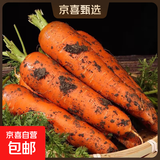 京喜加新鲜现挖现发胡萝卜农家自种蔬菜水果沙地红萝卜 带泥胡萝卜5斤 含箱