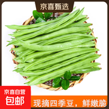 农家四季豆新鲜现摘云南长扁豆角农家应当季蔬菜芸豆现摘菜豆 新鲜四季豆2斤带箱