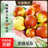 【现货】应季山东沾化冬枣脆甜冬枣新鲜水果鲜枣大枣脆枣 净重2.8斤中果(单果12-16克)
