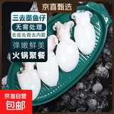 新渔姐冷冻生鲜新鲜章鱼仔花枝乌贼墨鱼三去目鱼仔小墨鱼仔(无冰) 三去墨鱼仔(无冰) 2斤(净重)