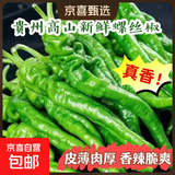 新鲜现摘薄皮螺丝椒微辣中辣香辣入味辣椒炒肉陇椒辣椒青椒 带箱4斤