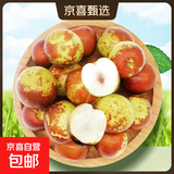 陕西大荔冬枣新鲜水果应季现采产地直发脆甜包邮特价 带箱2.5斤( 单果12g-16g) 推荐