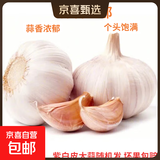 京喜自营精选大蒜水果蒜调料蔬菜火锅烧烤牛肉小龙虾食材 优惠5-6头 100g 单果3.5-5cm
