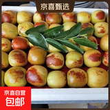 脆甜冬枣新鲜现摘装果园直发当季脆甜大枣子脆甜多汁农家自种批发 带箱3斤装（单果8-12克）