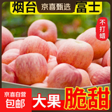 山东烟台红富士苹果正宗栖霞苹果冰糖心水果新鲜当季苹果 净重4斤大果
