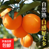 秭归脐橙当季产地直发橙子新鲜多汁整箱60-65mm 带箱4斤60-65mm