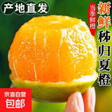 【热销】湖北秭归脐橙鲜果上市 带箱5斤55-60mm