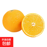京喜加伦晚夏橙脐橙手剥橙 带箱5斤特大果80+mm