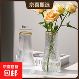 玻璃花瓶透明植物插花瓶水培容器大花瓶装饰客厅摆件 透明描金水波纹（17*5.5*8） 1个装