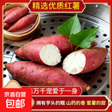 【新薯上市】爆皮王牛奶白心板栗红薯番薯地瓜整箱蔬菜批发 粉糯白心番薯（中大果3-8两） 5斤含箱