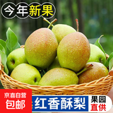 京喜加石家庄红香酥梨国产2026年新梨新鲜水果香梨生鲜 带箱2斤