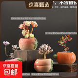 花盆绿植盆栽大口径拼盘多肉陶瓷素烧透气粗陶桌面绿植手绘小花盆 蔬菜水果组合4个 【看图标注】