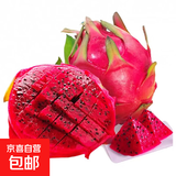 红心火龙果 金都一号树上熟云南海南火龙果新鲜水果 京东快递 4粒装 单果200g-300g 约带箱2斤