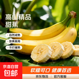 高山精品甜蕉现摘新鲜水果香蕉孕妇宝宝辅食搭配丫丫生鲜特产 2斤带箱装【青蕉发货】