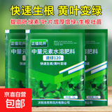 速绿120叶面肥叶绿素正品叶片厚蔬菜花卉果蔬通用型水溶肥料 厂家直销 强效型速绿120【50克*10袋】常备