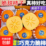 阳丰脆柿 新鲜巧克力柿子 吃硬的应季水果  脆甜可口 2个 单果80g+