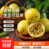 黄金百香果钦蜜9号大果孕妇新鲜当季鲜果妃多多 钦密9号百香果35-45g 10粒装 爆甜【产地直发】越皱越甜