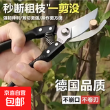 强力剪园艺剪不锈钢剪刀剪枝剪专用省力剪子切屑花芽修花剪刀修枝剪剪刀 【厚度升级】sk5园艺剪