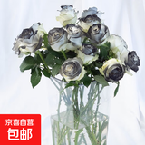 玫瑰10枝装云南鲜花直发节日鲜花礼物花束家用38女神妇女节礼物 黑骑士玫瑰10枝【喷色】