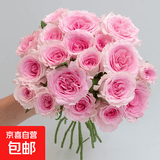 玫瑰10枝装云南鲜花直发家用七夕情人节礼物 洛神玫瑰10枝