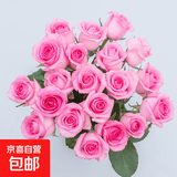 玫瑰花束云南鲜花批发真花节日礼物玫瑰鲜花七夕情人节礼物 苏醒玫瑰18+2枝防损耗