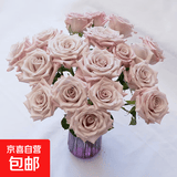 玫瑰花云南鲜花批发真花家用鲜花插瓶水养节日礼物玫瑰鲜花 曼塔玫瑰18+2枝防损耗