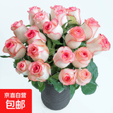 玫瑰花束云南鲜花批发真花节日礼物玫瑰鲜花七夕情人节礼物 爱莎玫瑰18+2枝防损耗