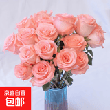 玫瑰花束云南鲜花批发真花节日礼物玫瑰鲜花七夕情人节礼物 戴安娜玫瑰18+2防损耗