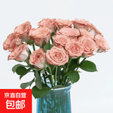 玫瑰花云南鲜花批发真花家用鲜花插瓶水养节日礼物玫瑰鲜花 卡布奇诺玫瑰18+2枝防损耗
