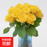 玫瑰花云南鲜花批发真花家用鲜花插瓶水养节日礼物玫瑰鲜花 黄玫瑰18+2枝防损耗