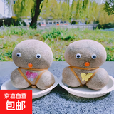 【草头娃娃】创意小盆栽可爱植物趣味长草娃娃办公室儿童水培绿植 开花娃娃1个+长草娃娃1个带托盘 送糖果喷壶