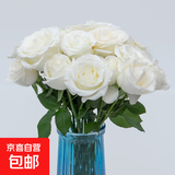 玫瑰花束云南鲜花批发真花节日礼物玫瑰鲜花七夕情人节礼物 白玫瑰18+2枝防损耗