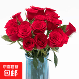 玫瑰花束云南鲜花批发真花节日礼物玫瑰鲜花七夕情人节礼物 高原红玫瑰18+2枝防损耗