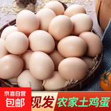 山林散养土鸡蛋现捡现发新鲜鸡蛋整箱发货 【50枚土鸡蛋】单枚约40g