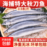 大号秋刀鱼 3-5条/斤无冰净重新鲜海捕鲜活冷冻海鲜烧烤食材鱼类 海捕秋刀鱼3斤（3-5条/斤）