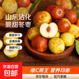 山东沾化冬枣新鲜水果生鲜脆甜冬枣鲜枣青枣小糖丸果园直发整箱 带箱1斤装（15g+）