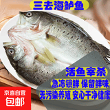 现杀液氮速冻开背海鲈鱼烧烤商用家庭装海鲈鱼独立包装海鲈鱼 400g-450g*1条