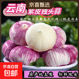 云南紫皮独头蒜干蒜果经3.0mm+ 大果直径3.0左右（1斤）