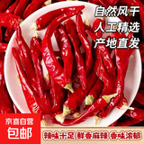 干辣椒特香中辣微辣朝天椒香辣小米辣椒自然晒干风干干货红辣椒 100g